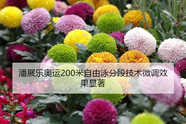 潘展乐奥运200米自由泳分段技术微调效果显著