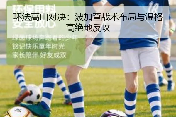 环法高山对决：波加查战术布局与温格高绝地反攻